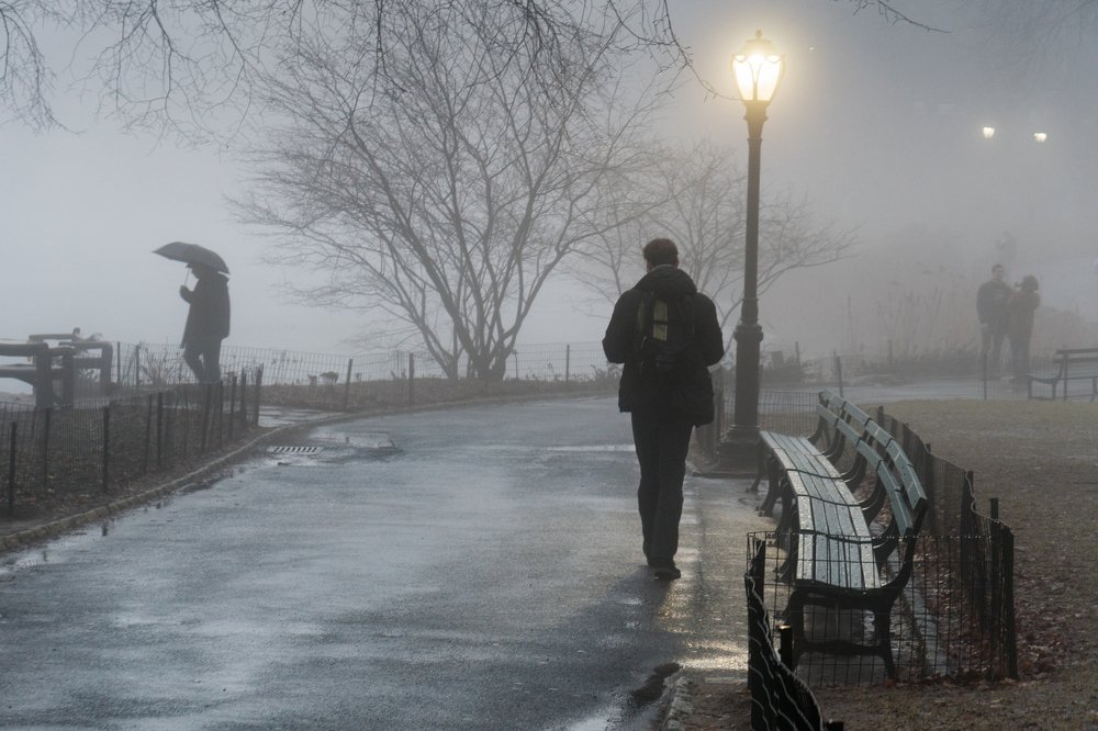 Fog in Central Park