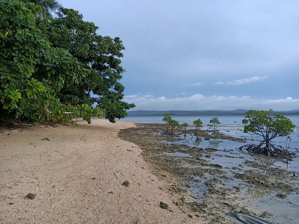 Tandang Island