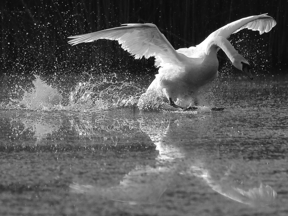 Photograph by Sergey Chernyak