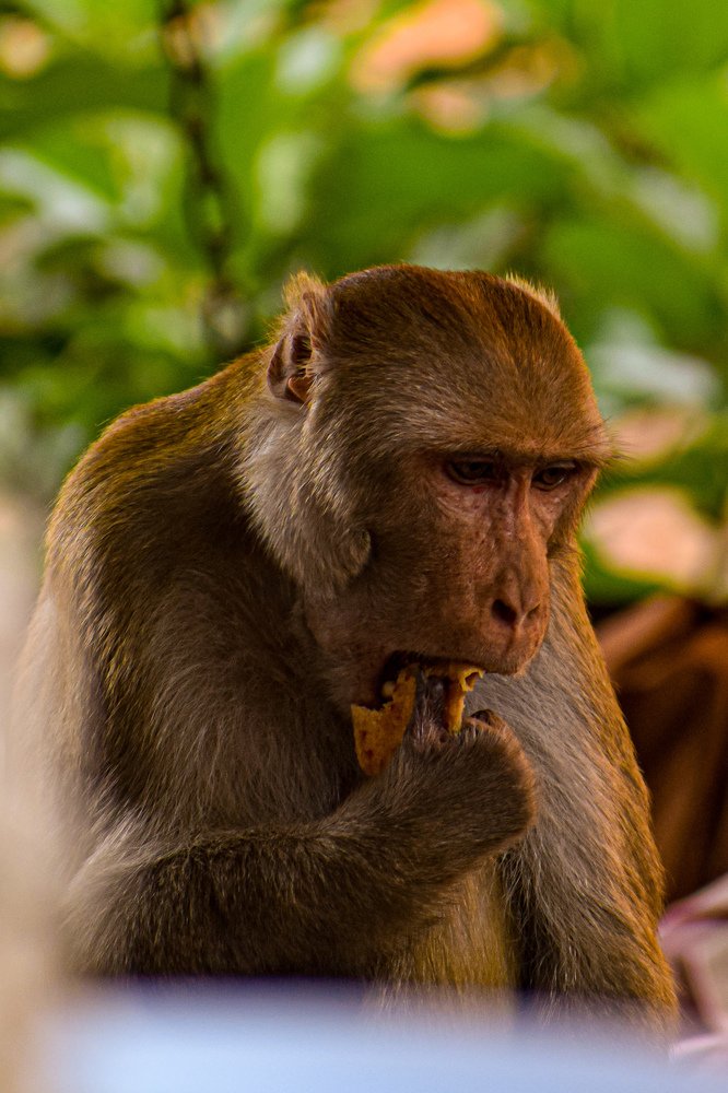 Photograph by vidisha singh