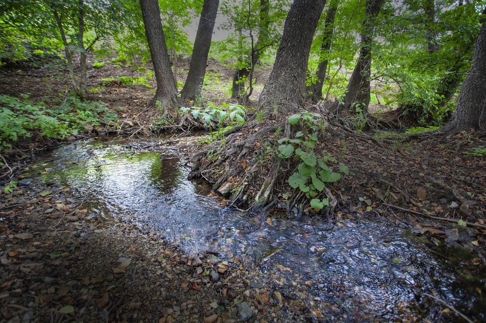 Photograph by петр чиков