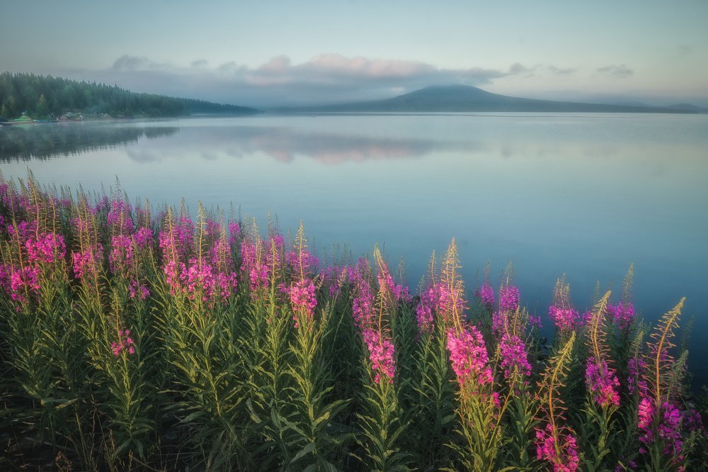 Photograph by Даниил Силантьев