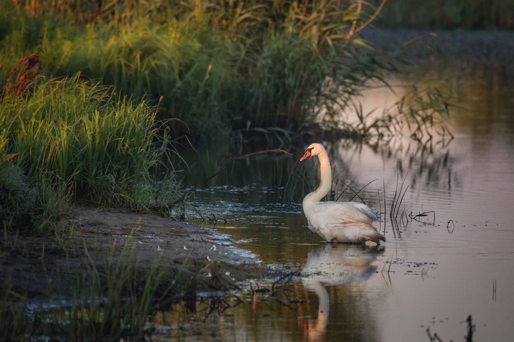 Встречай рассвет.