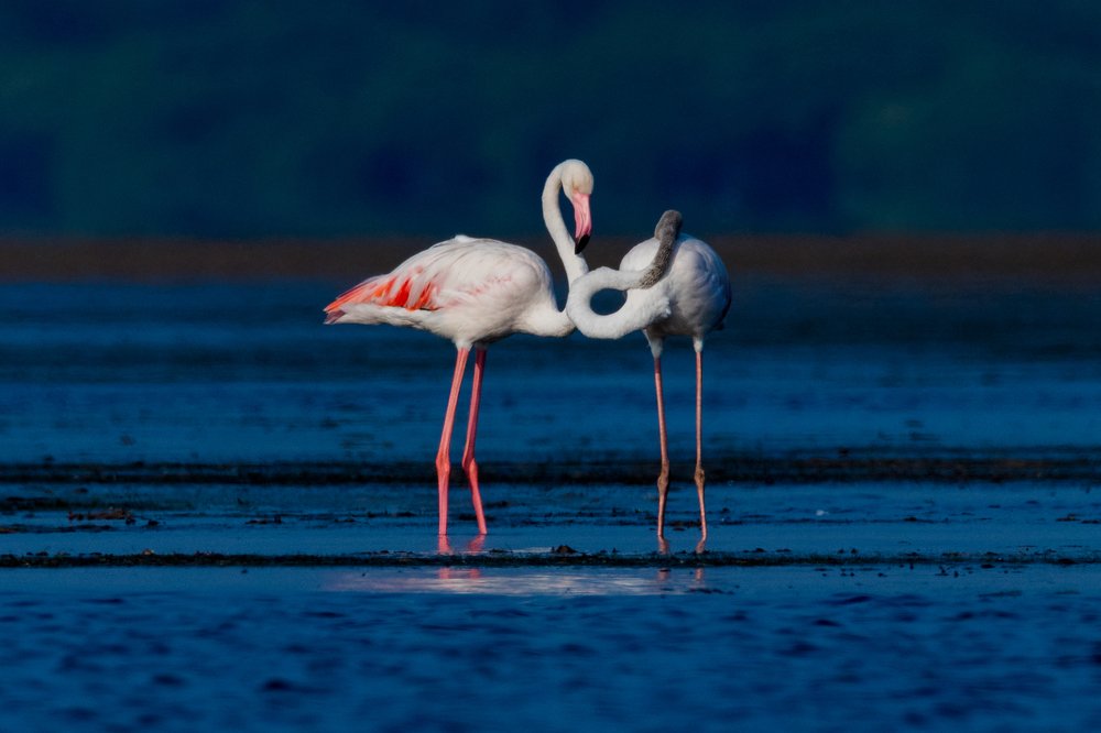 Photograph by Zinda Shaik Mohideen M