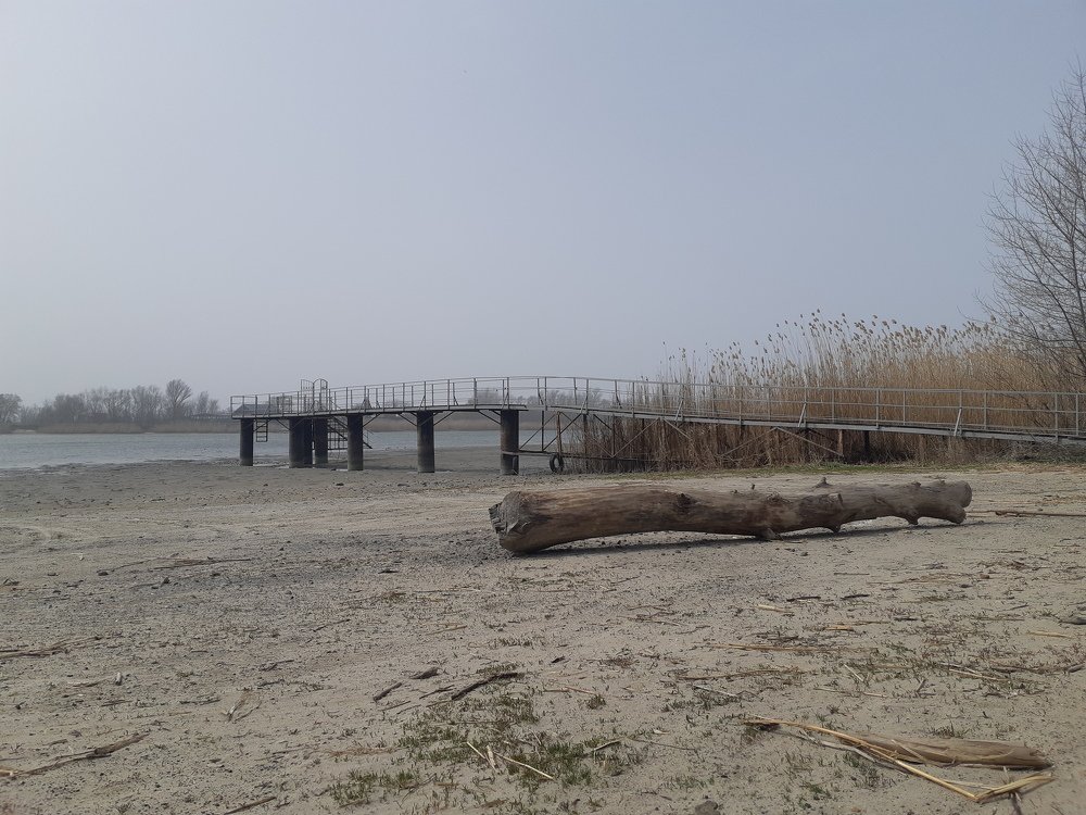 Photograph by ИГОРЬ