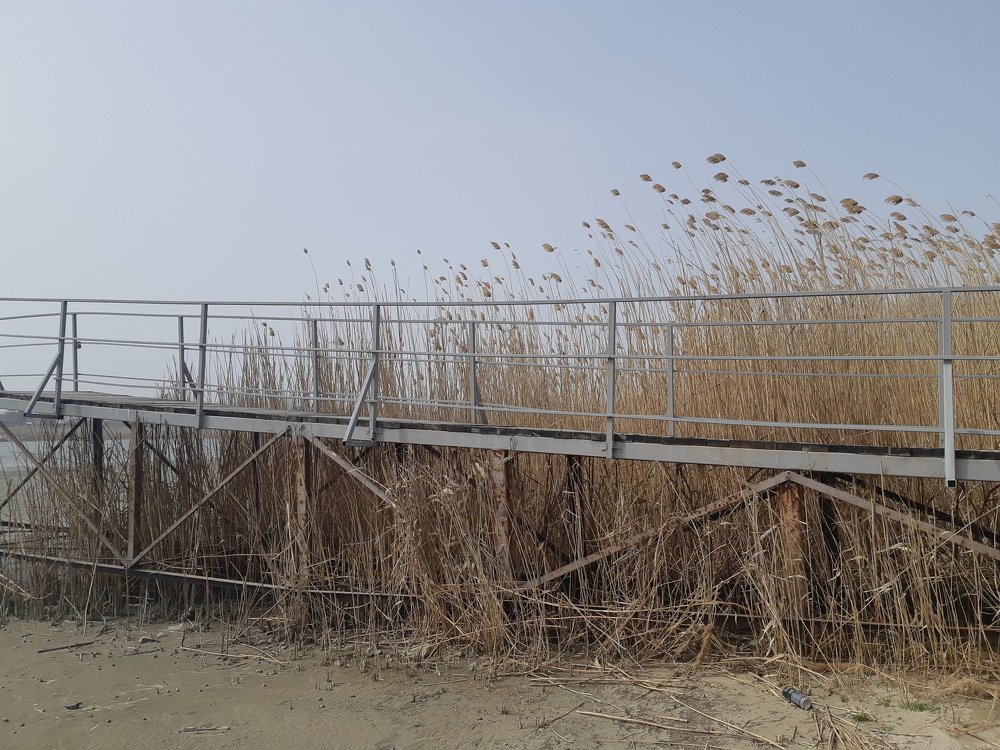 Photograph by ИГОРЬ