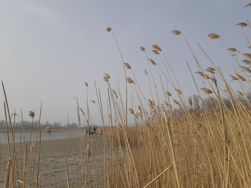 Photograph by ИГОРЬ