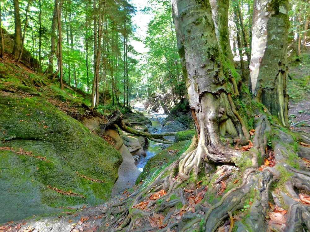 Photograph by Светлана Карпенко