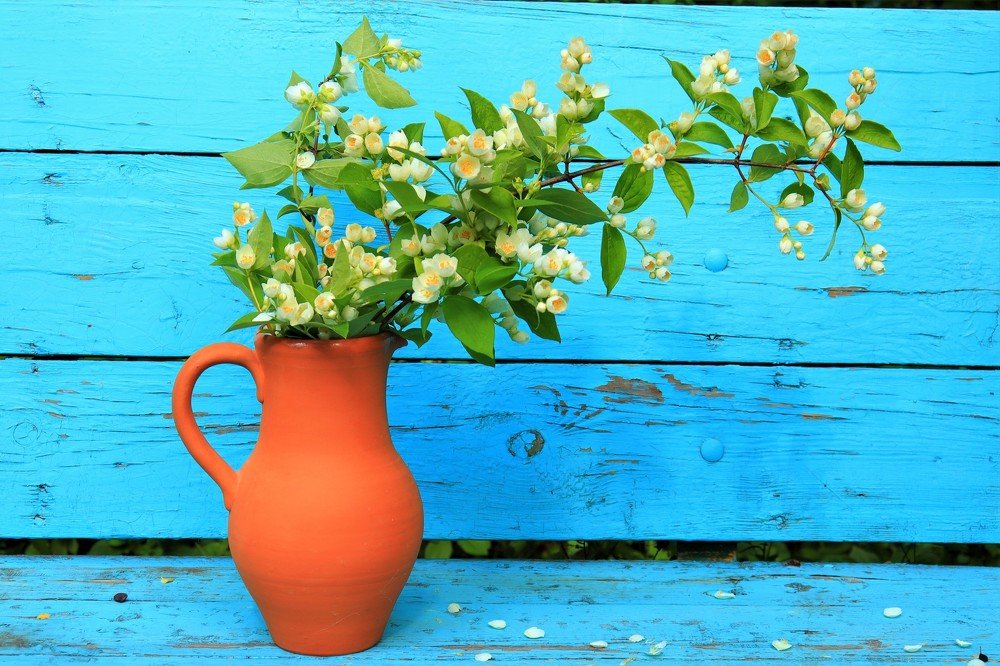 Photograph by Родосская Нонна