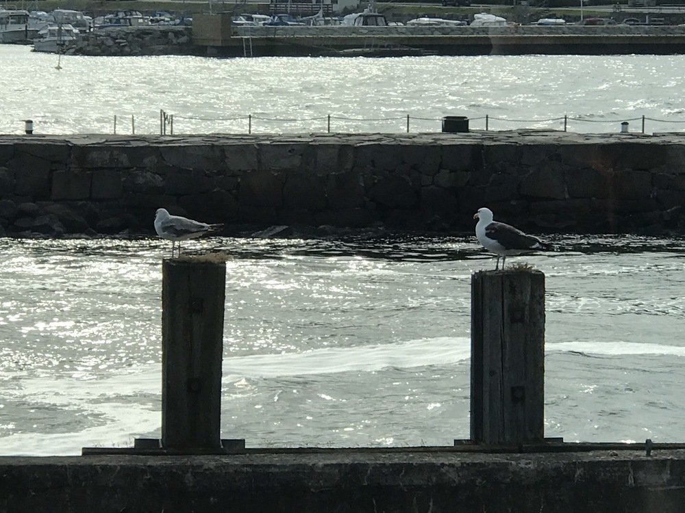 Photograph by andrei mihai