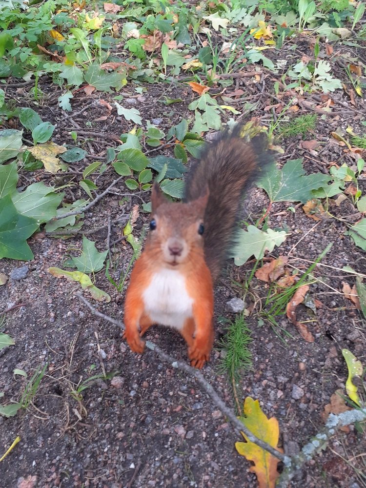 Photograph by Любовь Макарова