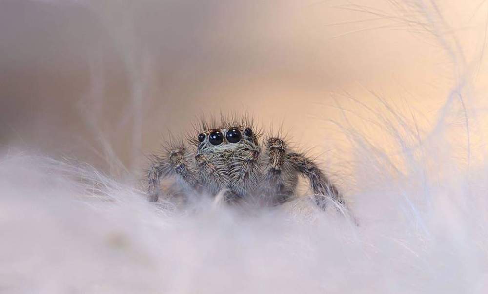 Photograph by Tatiana SUKHENKO