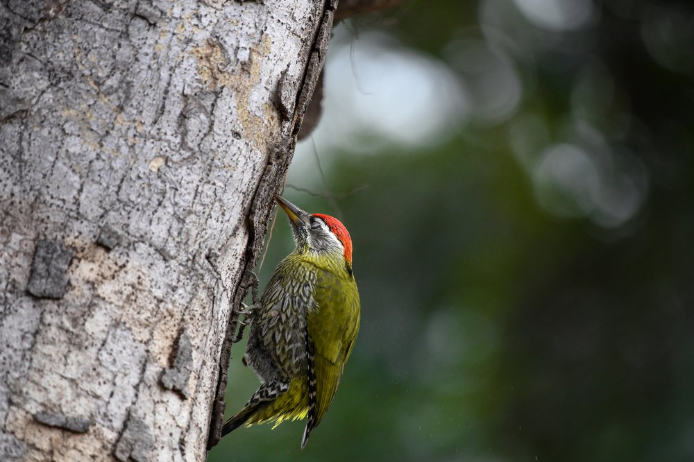 Build Today, Better tomorrow.