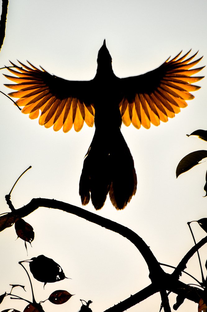 Photograph by Archit Agrawal