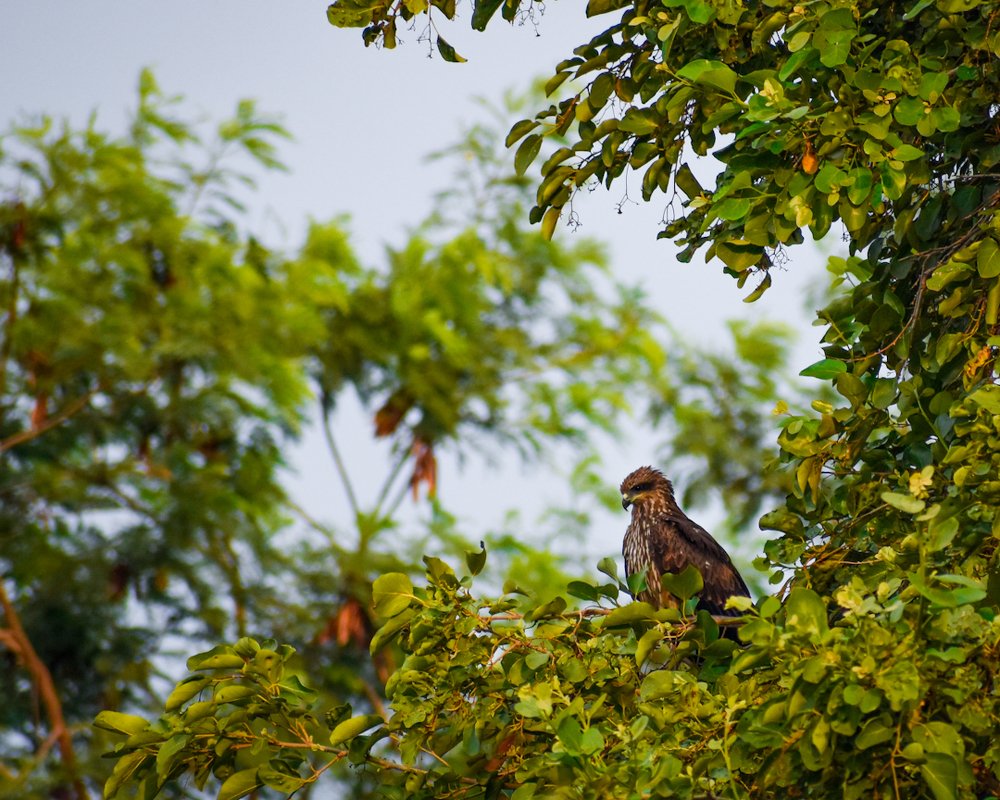 Photograph by Archit Agrawal