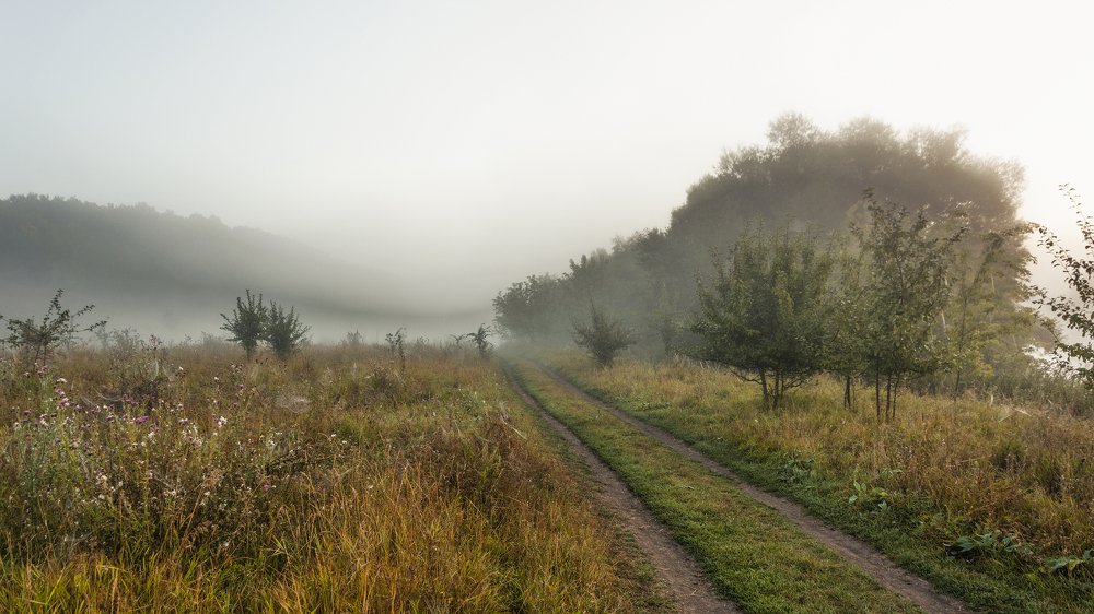 Photograph by Павел Барабанов