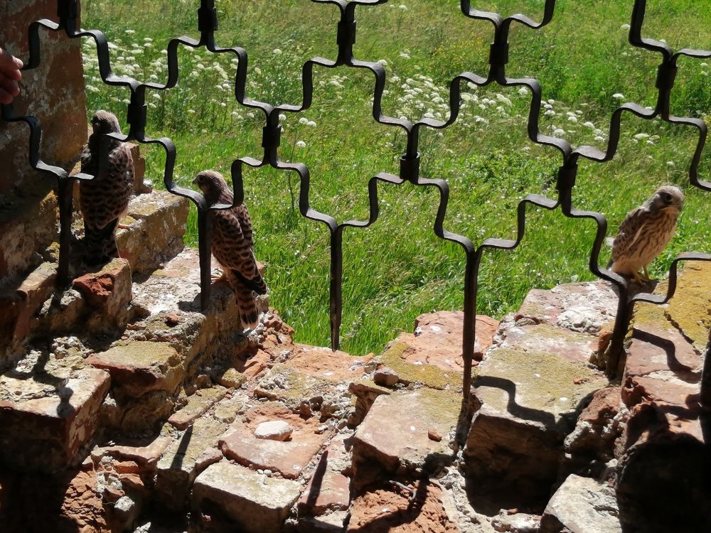 Фотография автора Кравцова Светлана