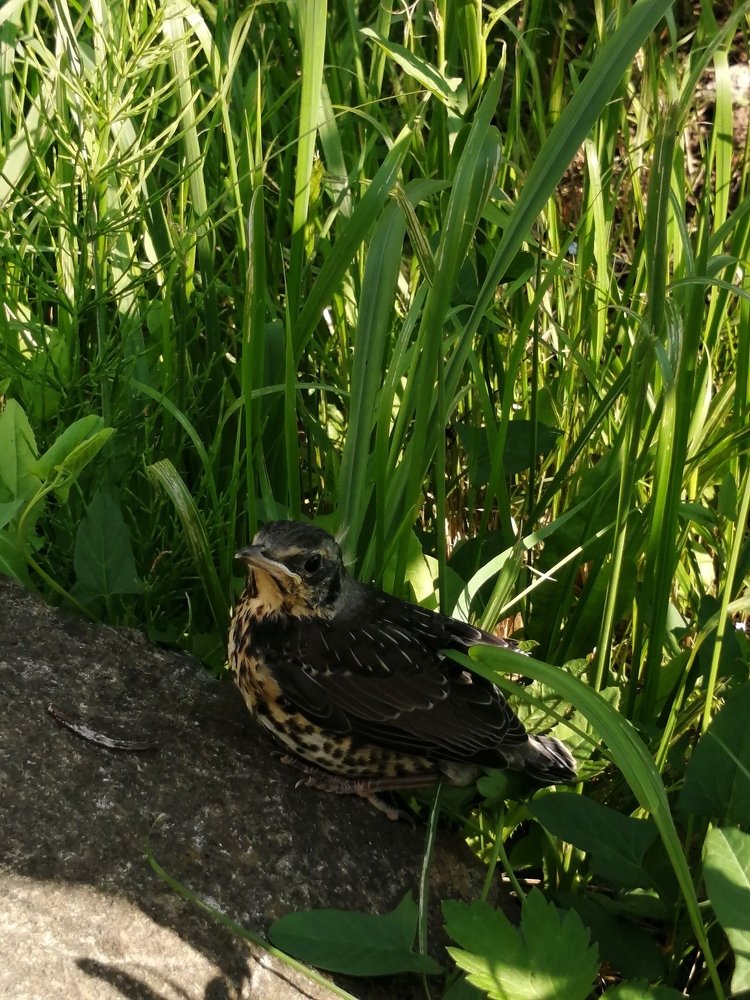 Фотография автора Кравцова Светлана