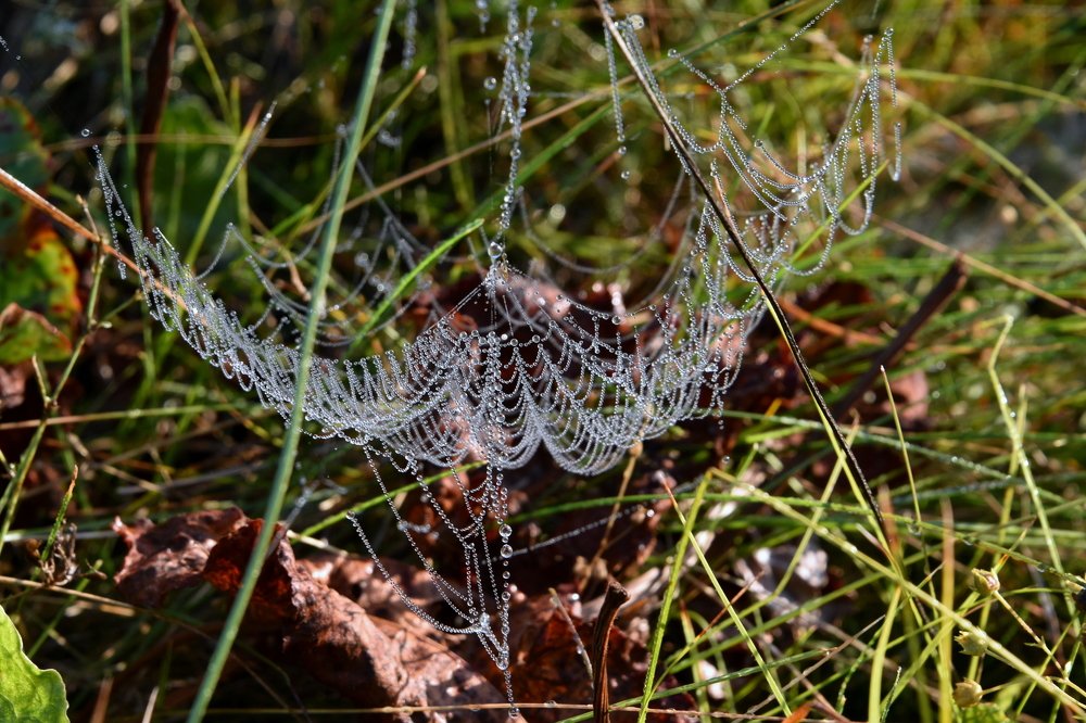 Photograph by Татьяна Калугина