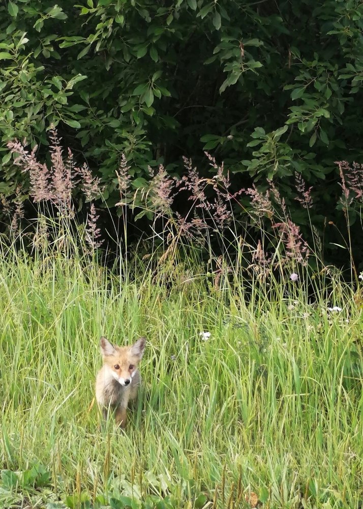 Фотография автора Кравцова Светлана
