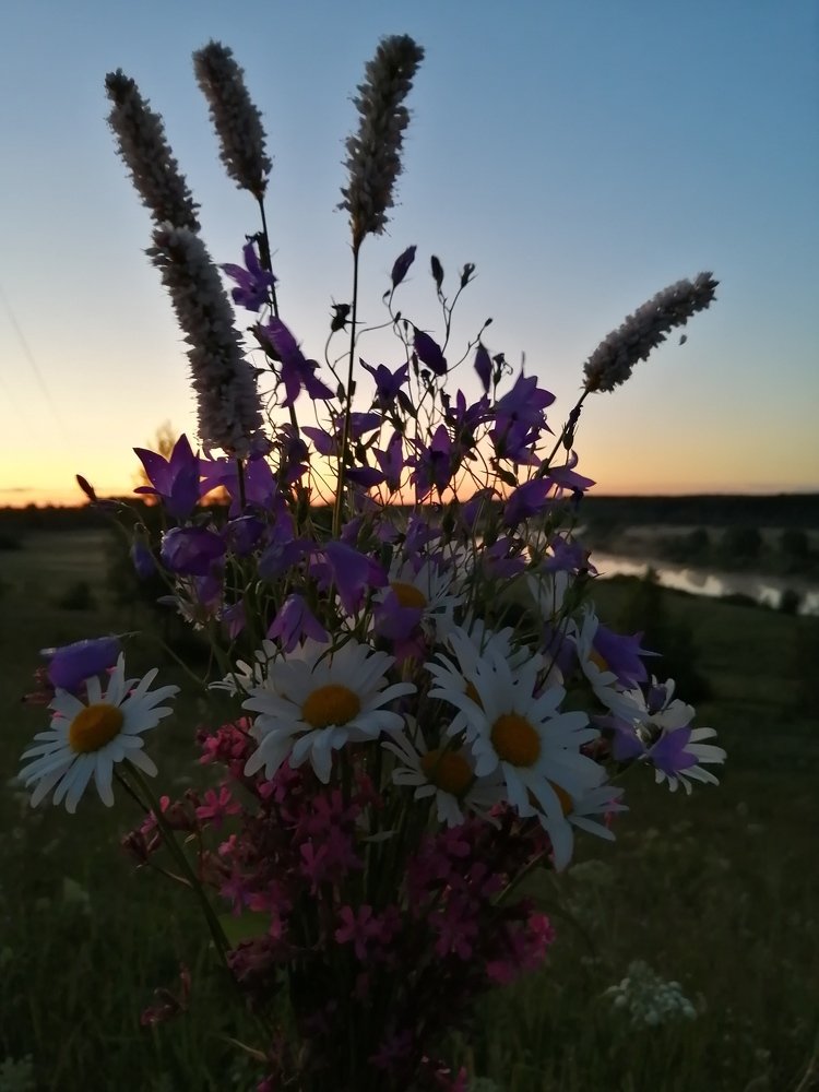 Фотография автора Кравцова Светлана