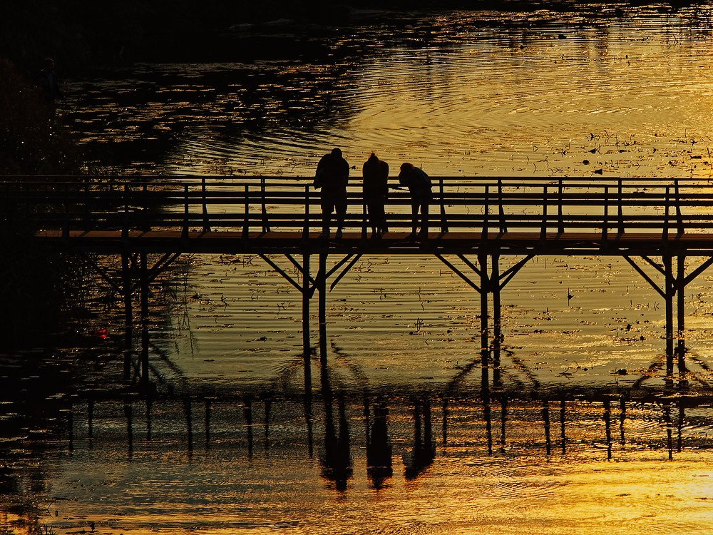 Photograph by Андрей Панин