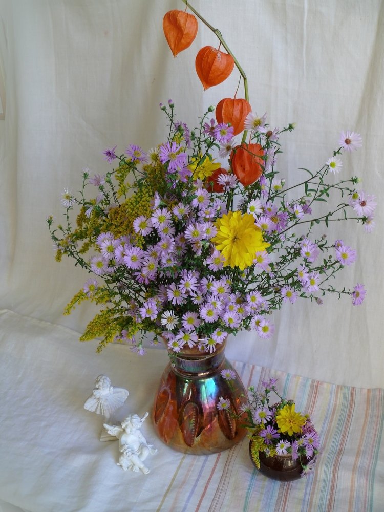 Фотография автора Клавдия Васильева