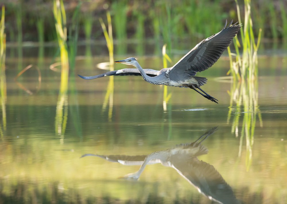 Photograph by Владимир Пакалевич