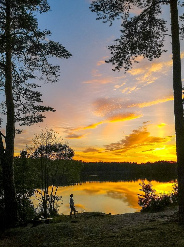 Закат, озеро,сосны, девушка...