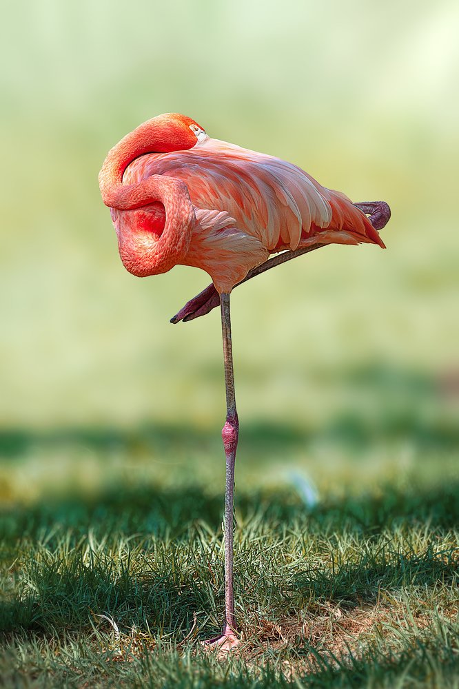 Photograph by David Lerer