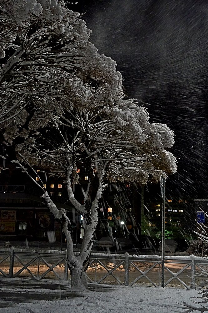 Photograph by Евгений Аккуратов