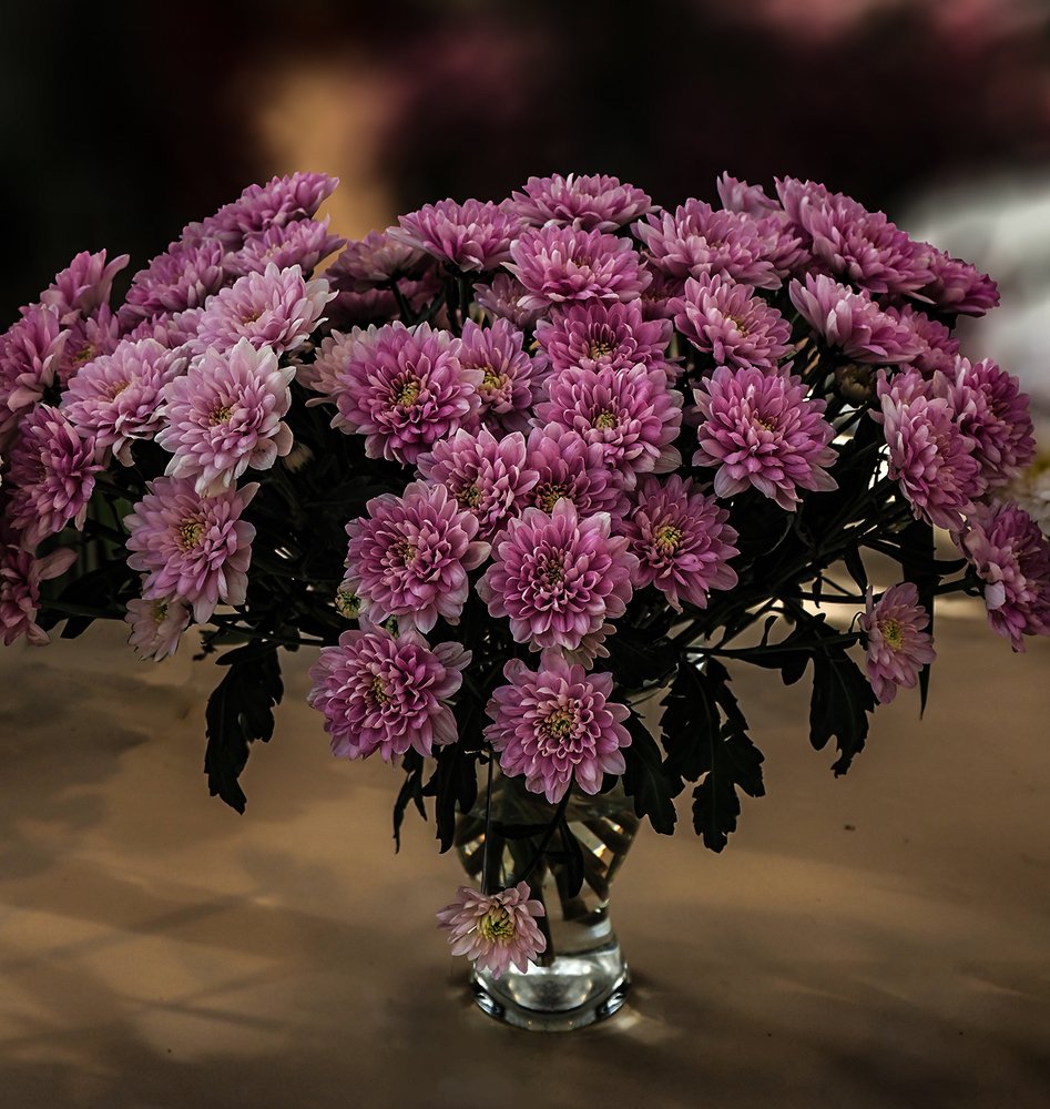 Photograph by Сергей Духанин