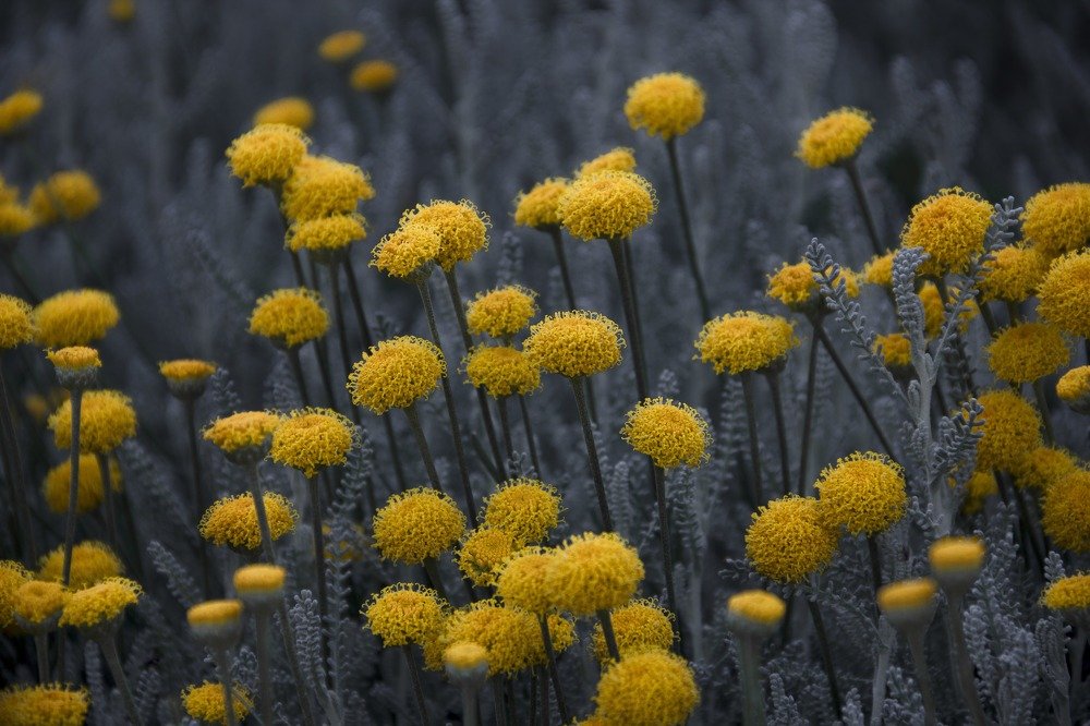 Photograph by Madina Ganieva