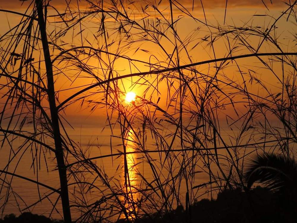 Photograph by Gerardo