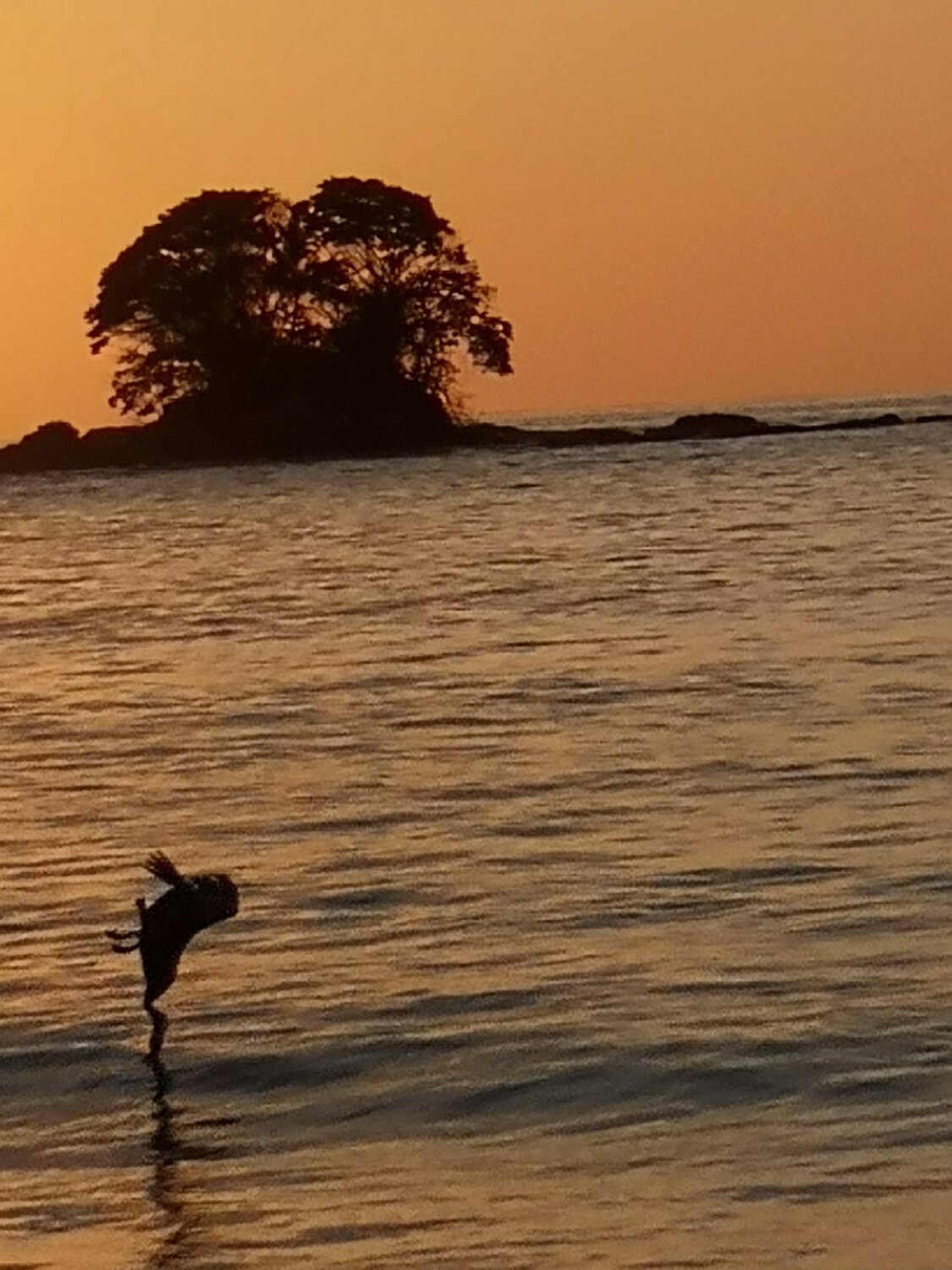 Vuelo razo