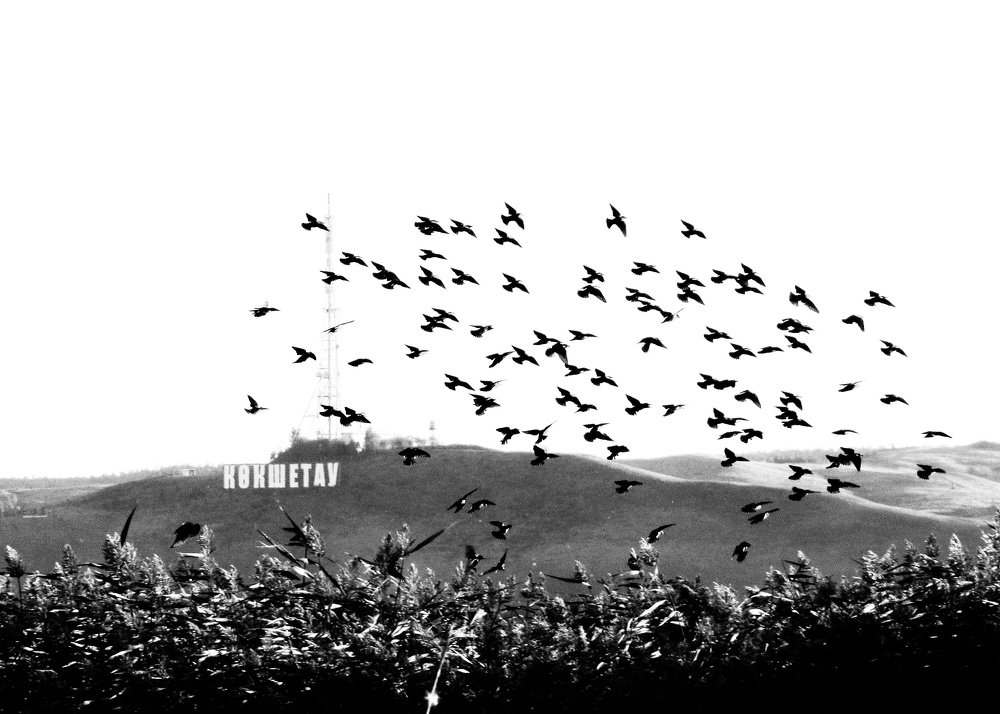 Photograph by Марина Савченко