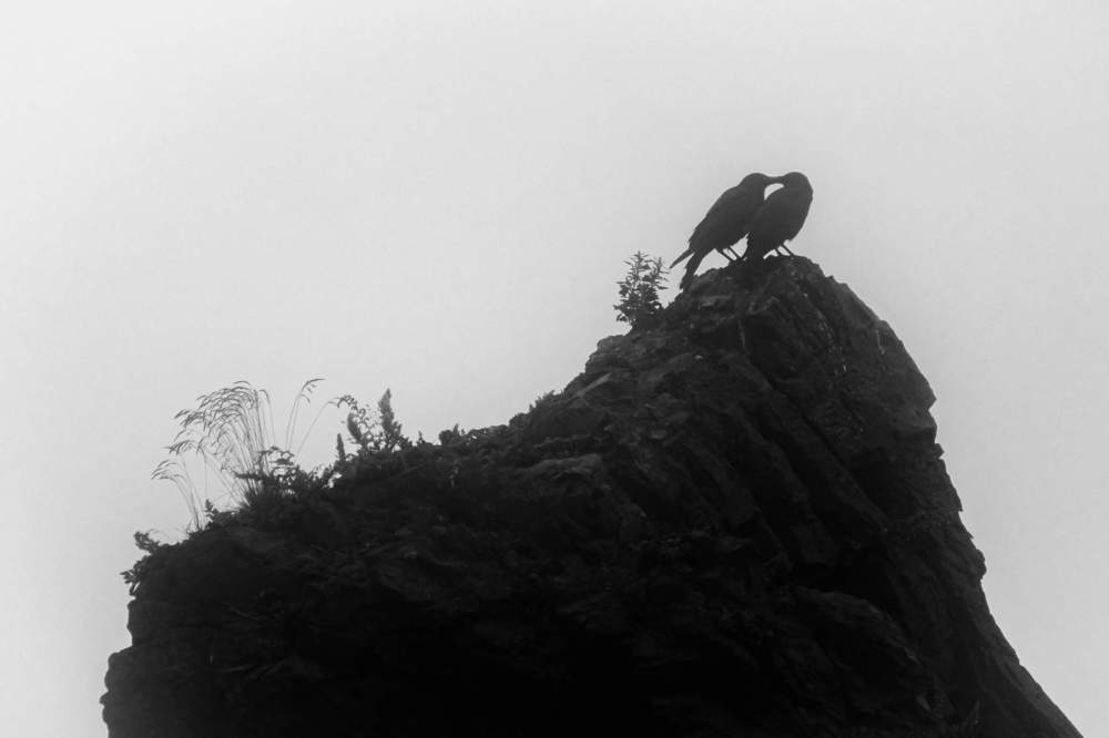 Фотография автора Денис Винарь