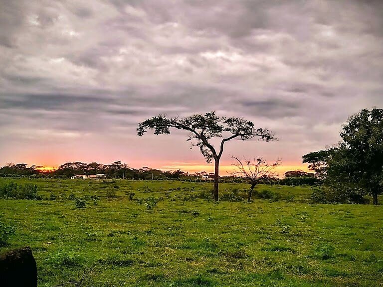 atardecer cumaraleño