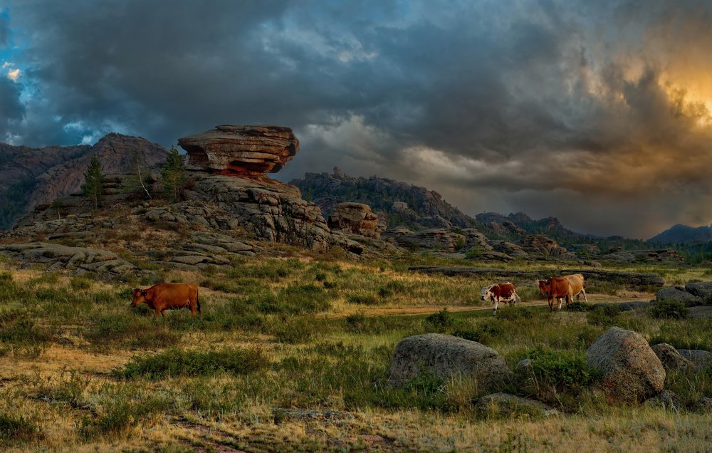 Пастбище среди кмней