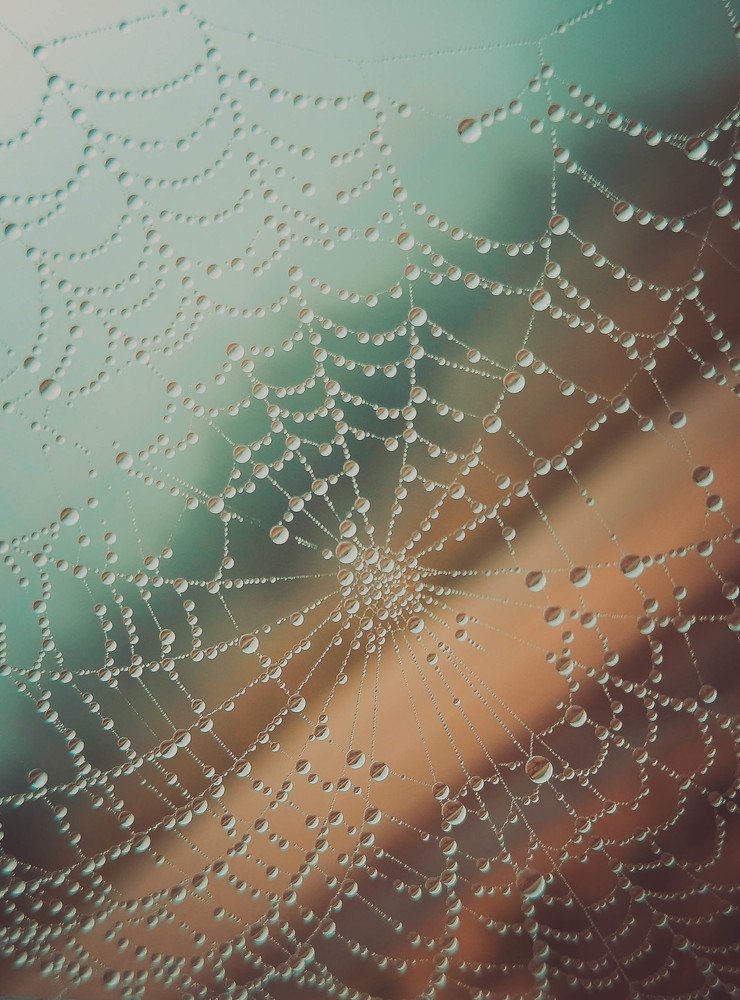 Photograph by Алина Гладкова