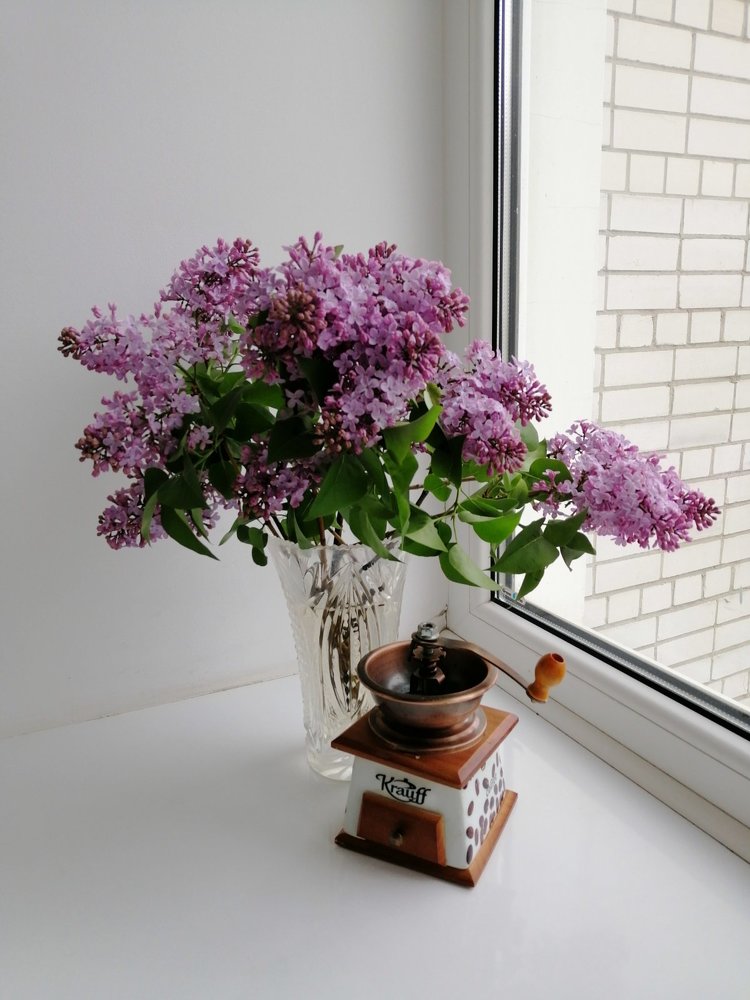Photograph by Larysa Korotenko
