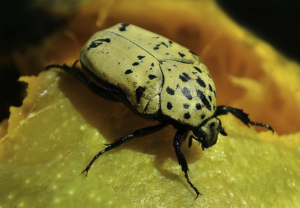 Photograph by  LUIS GERARDO