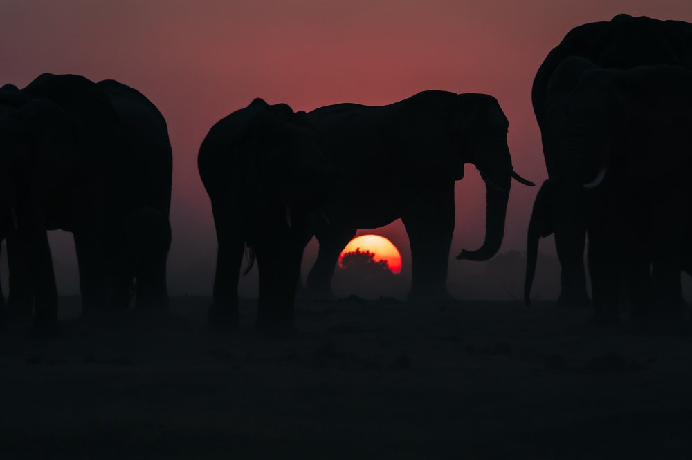 Photograph by Lee Khai