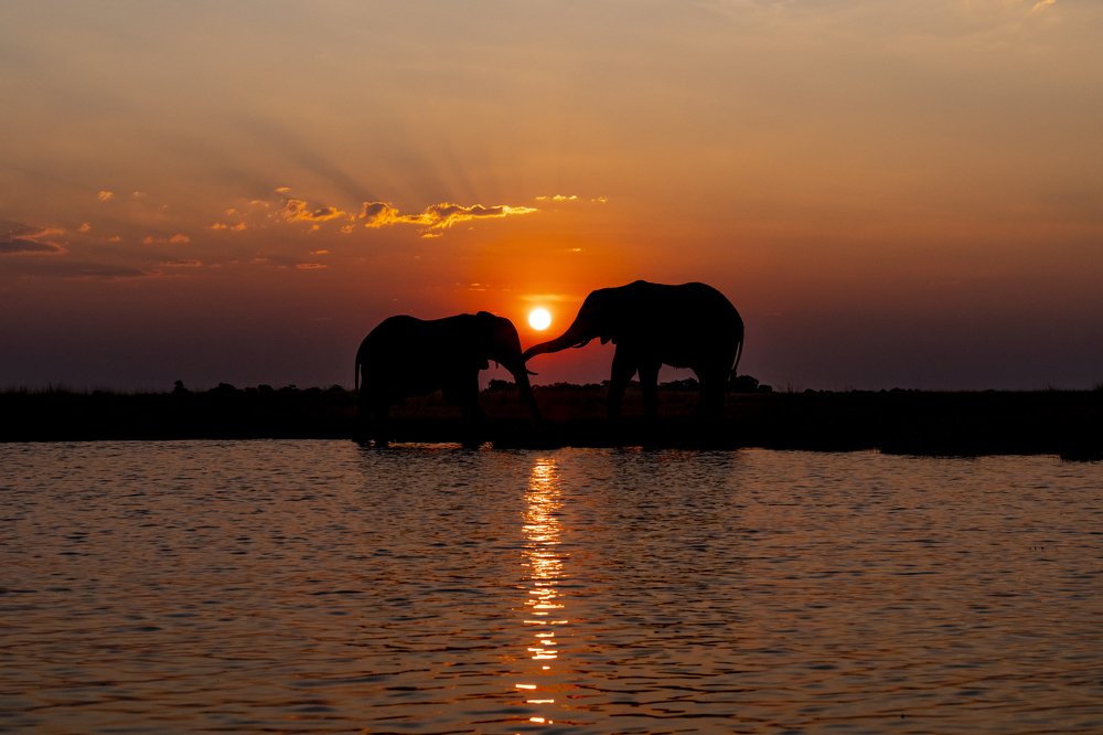 Photograph by Lee Khai