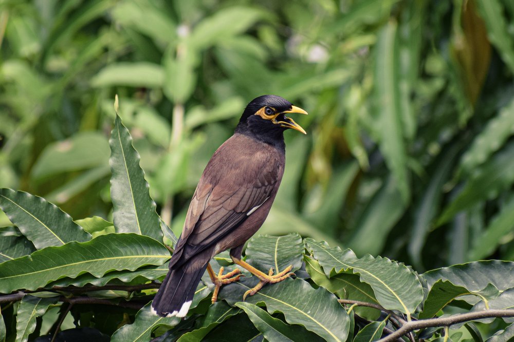 Photograph by vidisha singh
