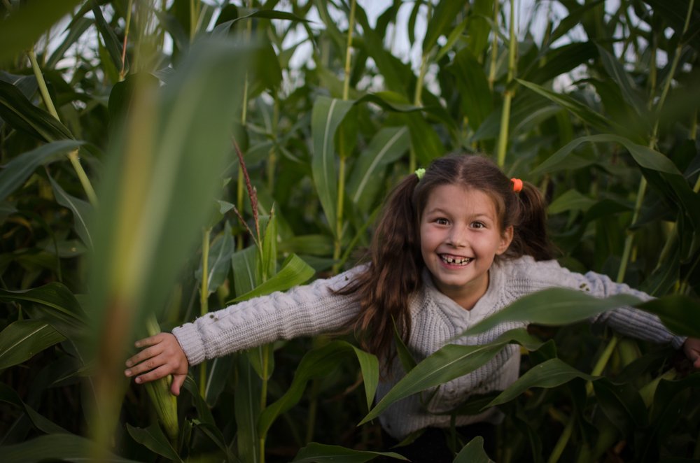 Photograph by Елизавета Фирстова