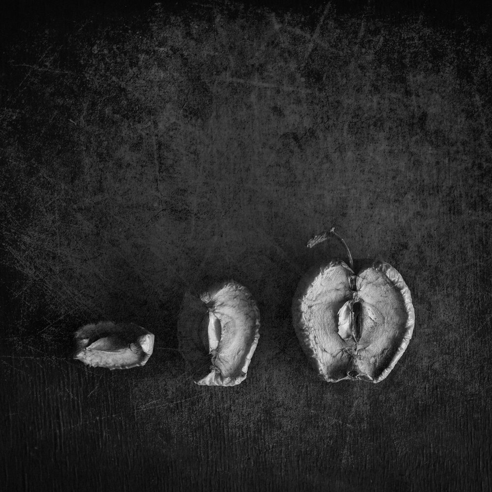 Фотография автора Осипкин Алексей