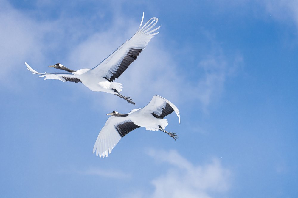 Photograph by Lee Khai