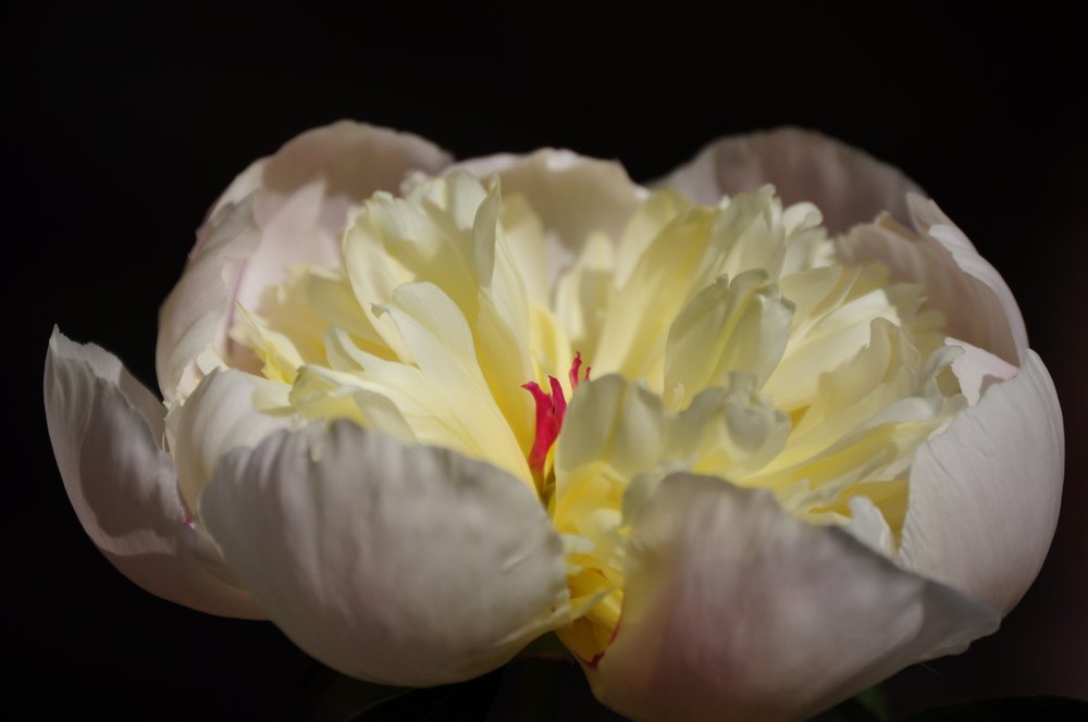 Photograph by Денис