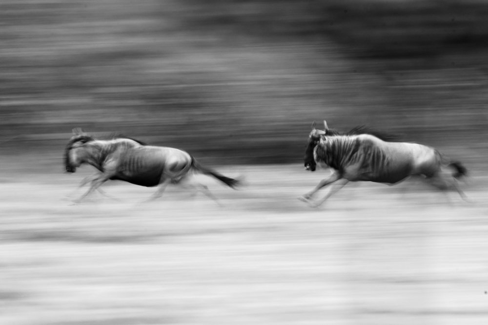 Photograph by Yuwaraj Gurjar